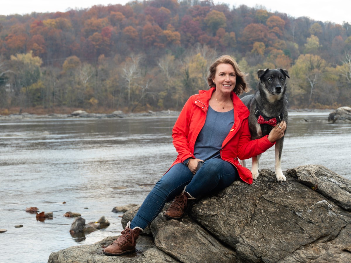 A Fresh Look and a New Chapter for Suzanne Bowers&nbsp;Photography